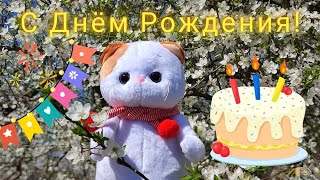 Красивое поздравление с Днём Рождения от кошечки Лили🎁🎁🎁