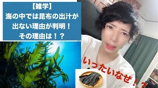 【雑学】昆布が海の中で出汁が出ないのはなぜ！？