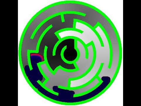 SImulation of Physarum maze-solving in Oregonator model - YouTube
