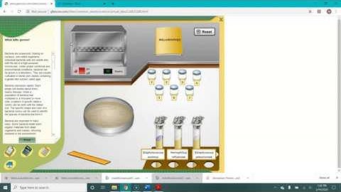 Antibiotic Resistance Virtual Lab  How to Access and Do the Lab