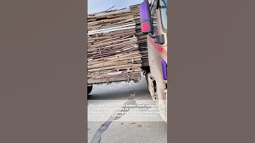 Timber Teamwork: Log Truck Drivers Collaborate to Straighten Shifting Load