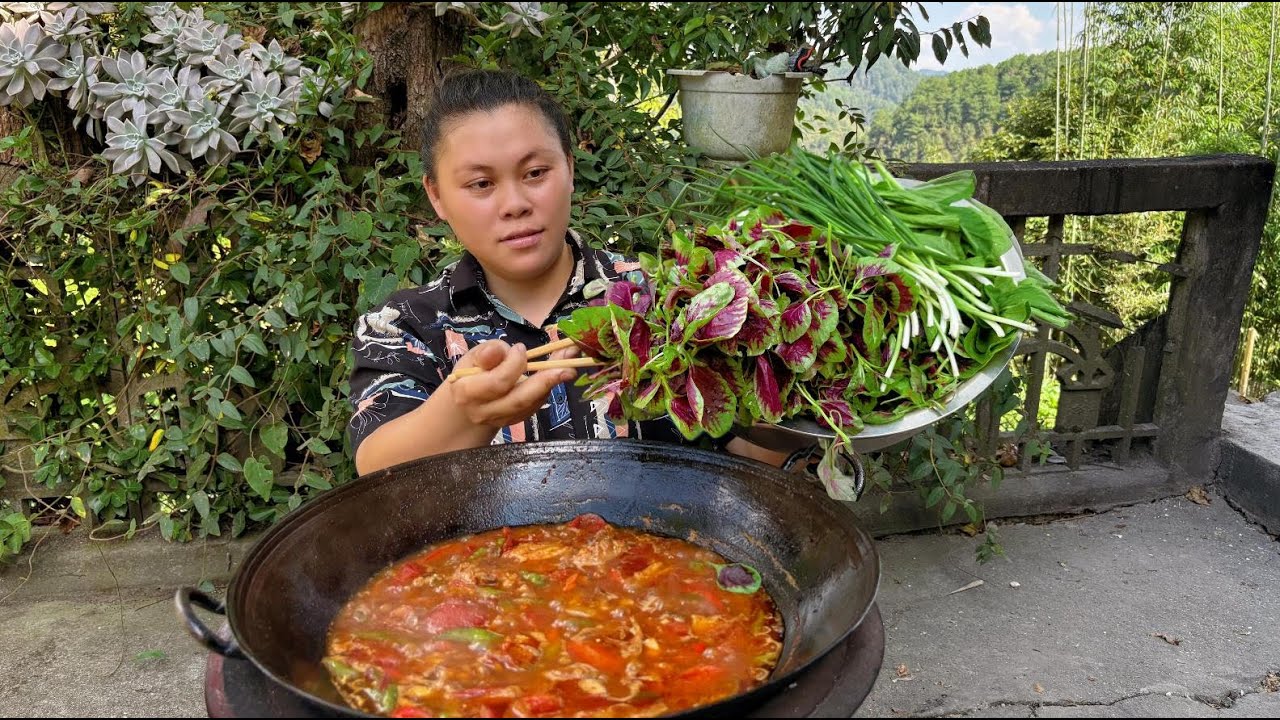 今天摘些新鲜蔬菜，简单做一餐好吃的 pick some fresh vegetables to make a delicious meal