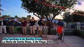 This is how they woke up the Holy Cross! 🌅 Morning serenade in La Noria 2026 (Fresnillo)