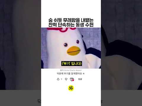 숨 쉬듯 무례함 내뱉는 악뮤 찬혁 ㅋㅋ thumbnail