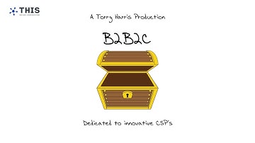 An untapped treasure - B2B2C digital enablement of platform partners – V2