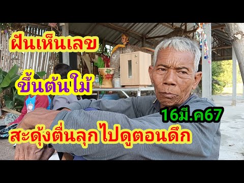 ผลสลากกินแบ่งรัฐบาล วันที่ 1 พย. 2567 ผลสลากกินแบ่งรัฐบาล วันที่ 1 พย. 2567