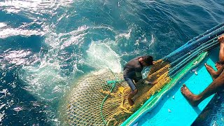 கடலுடன் போராடி டன் கணக்கில் மீன்கள் பிடிக்கும் நேரடிகாட்சி|TRAWLING FISHING