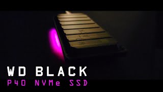 4K Wd Black P40 Ssd Nvme Game Drive Rgb Light 2
