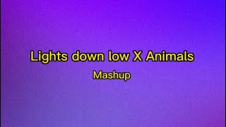 (Mashup TikTok) Lights Down low / Animals
