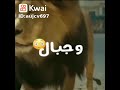 مهرجان انا اسمي كافي لوحده