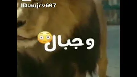 مهرجان أنا اسمي كافي لوحده Mp3