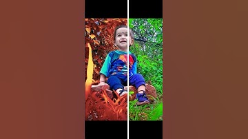 How to create before and after wipe Transition in Kinemaster line change