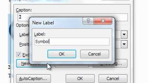 Captions - Thesis Formatting on Microsoft Word 2007