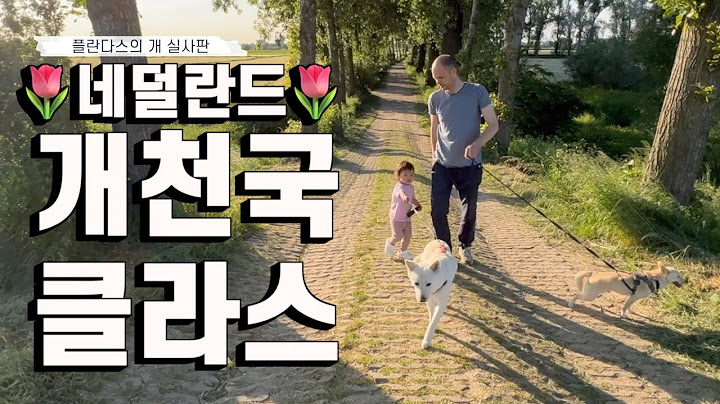 네덜란드 시골 대박 산책길 공개 (개천국의 비밀) | 이민 정착기7