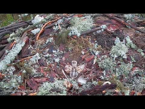 Video: Kuka Käy Kauppaa Pelkomme - Vaihtoehtoinen Näkymä