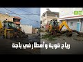 باجة: سقوط  الأشجار والأسلاك الكهربائية بسبب الرياح  القوية والأمطار 