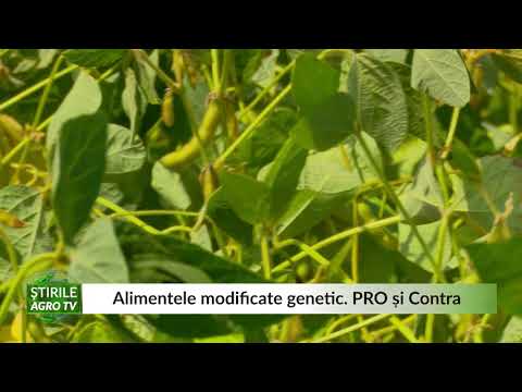 Alimentele modificate genetic  PRO si Contra 28 06 2021