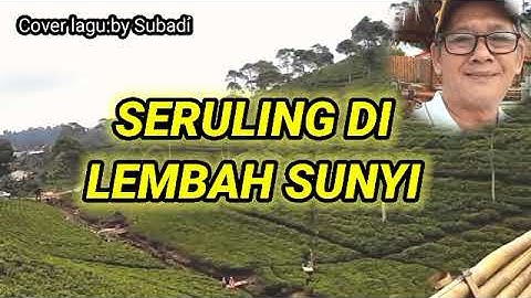 Cover lagu,"SERULING DI LEMBAH SUNYI"