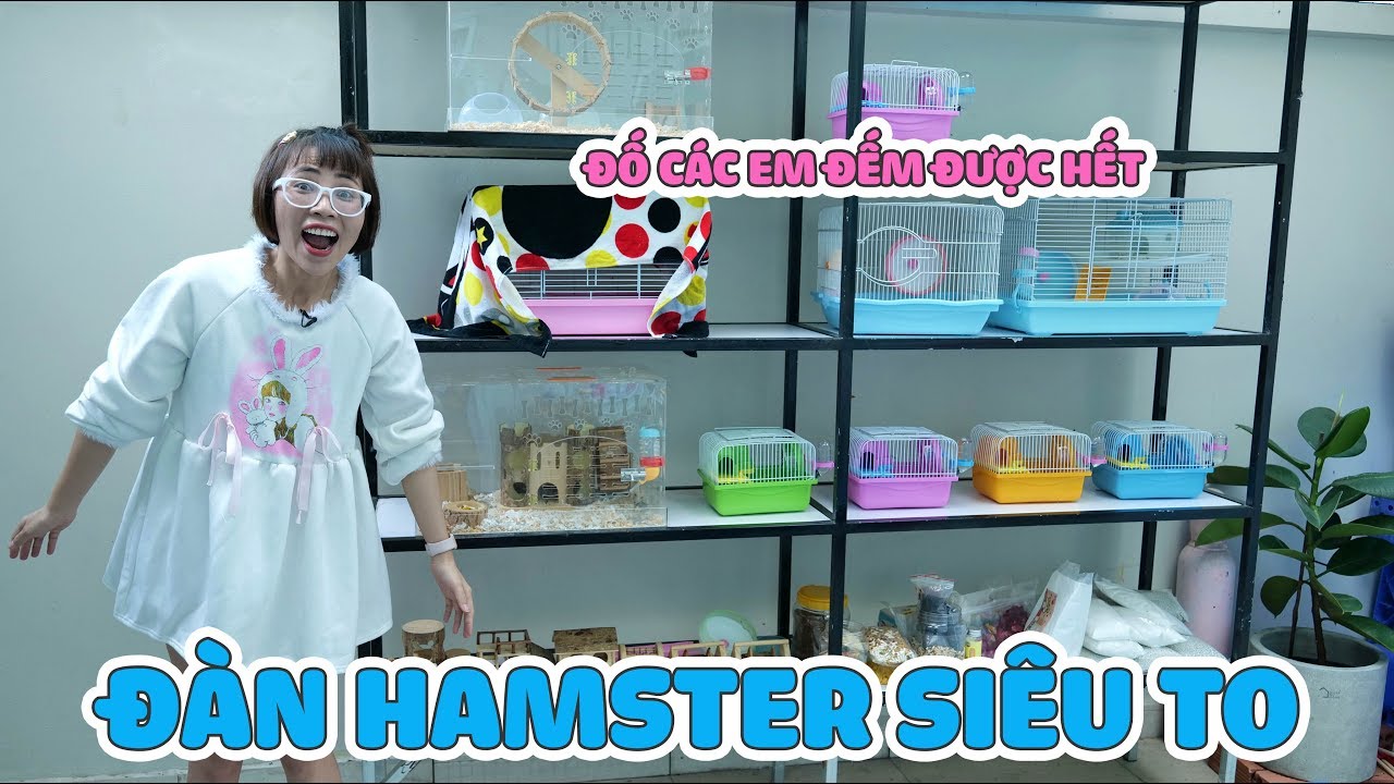 cua hang chuot hamster New Update Gia Tài Hamster Của Chị Thơ Nguyễn