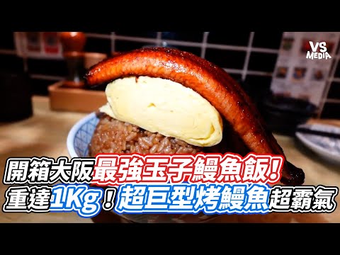 開箱大阪最強玉子鰻魚飯！重達1Kg！超巨型烤鰻魚超霸氣｜VS MEDIAｘ@derekhsu6666