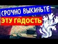 Уберите это срочно, что нельзя иметь в своем доме