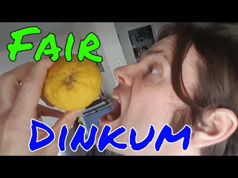 What does fair dinkum mean