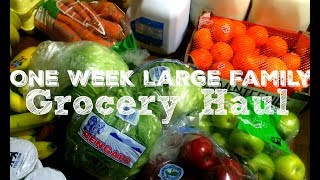 Cheap Large Family Grocery Shopping Haul for One Week | Food Lion Groceries