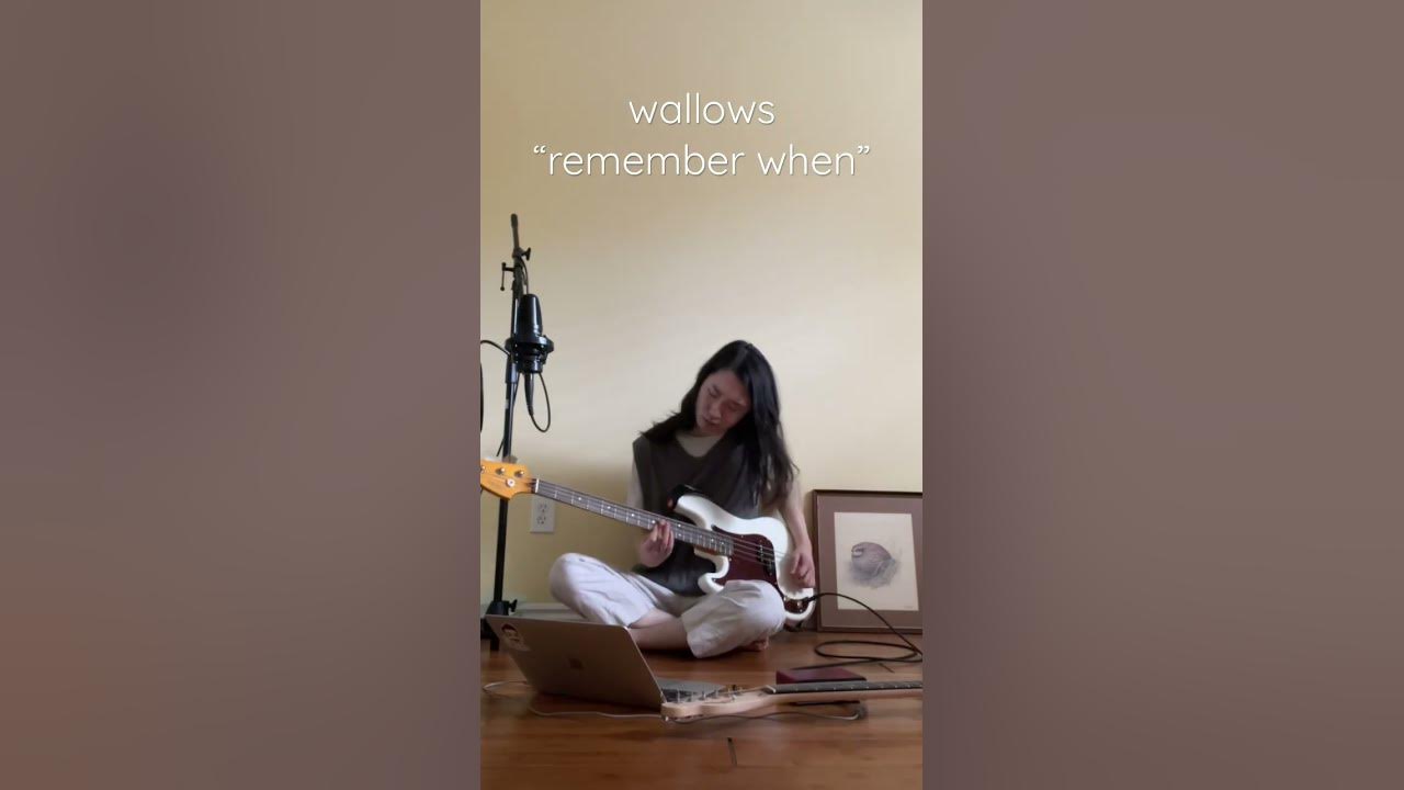 love this bass riff!! #shorts #wallows #indiemusic