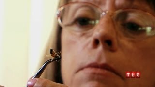 Addicted to Bee Stings | My Strange Addiction