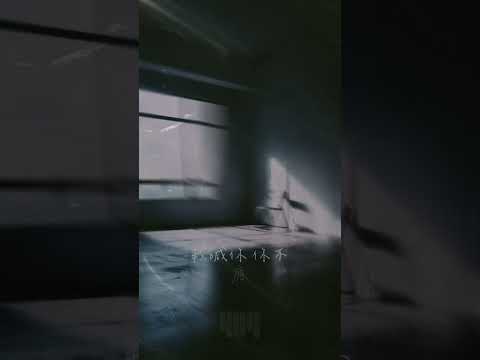 回音 | 404 肆零肆 | Official Visualizer