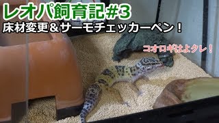 レオパ飼育記#３ 床材変更＆サーモチェッカーペン！