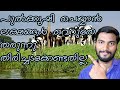 ലക്ഷങ്ങൾ വെറുതേ തരുന്നു പുൽക്കൃഷി ചെയ്യാൻ തിരിച്ചു കൊടുക്കേണ്ട ആവശ്യമില്ല |dairy farming subsidies