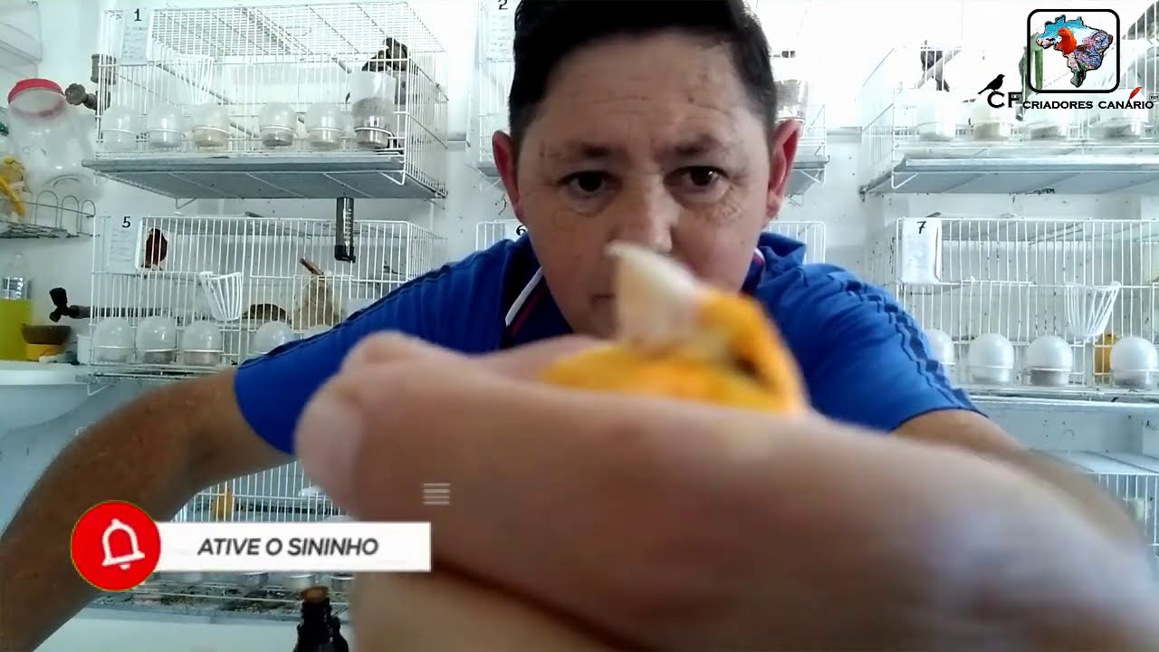 FUNGO NO BICO COMO EU TRATEI