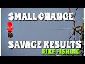 ***SAVAGE PIKE TAKE*** SMALL CHANGE HUGE IMPACT - PIKE FISHING