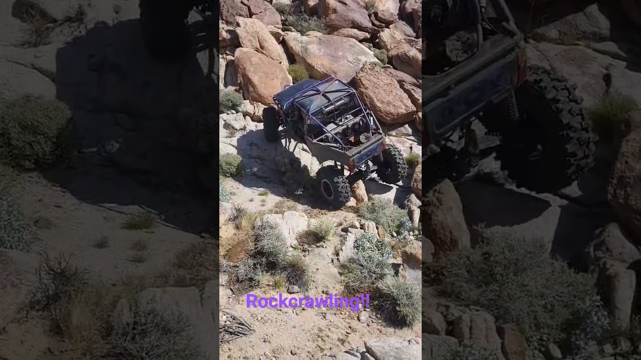 Ocotillos Crawl 2024!!!  