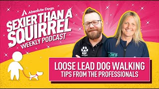 Loose Lead Dog Walking Tips From The Professionals
