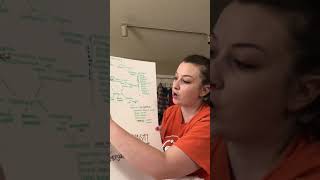 cell bio chem concept map