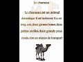   وصف الجمل بالفرنسية