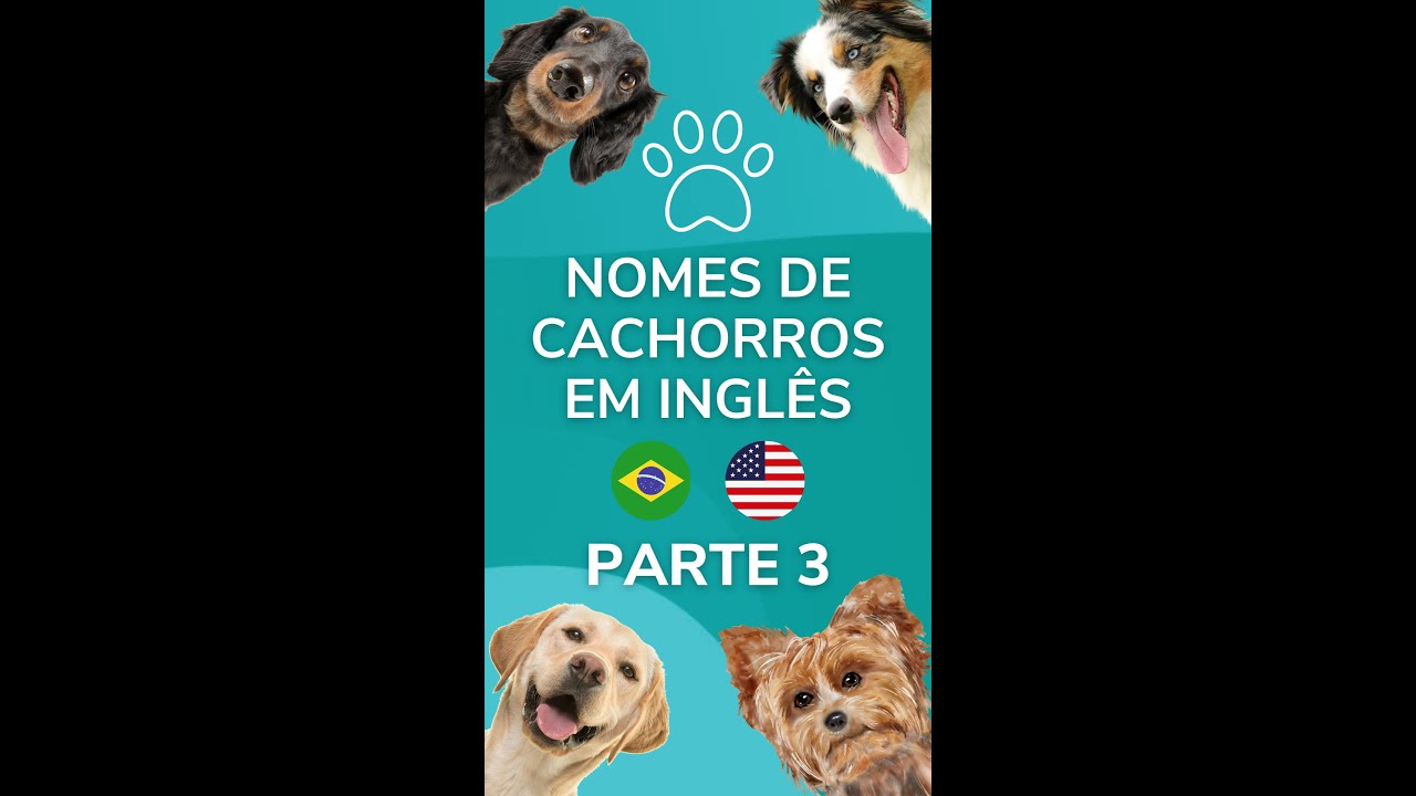 Guia completo do pastor inglês: 6 fatos obrigatórios - raças de cães  perfeitos - Raças