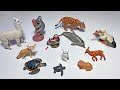 New Sea Animals &amp; Wild Animals - Llama, Koala, Fennec Fox, Turtle, Dolphin, Rabbit, White Pelican