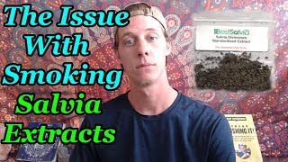 The Issue With Smoking Salvia Divinorum Extracts
