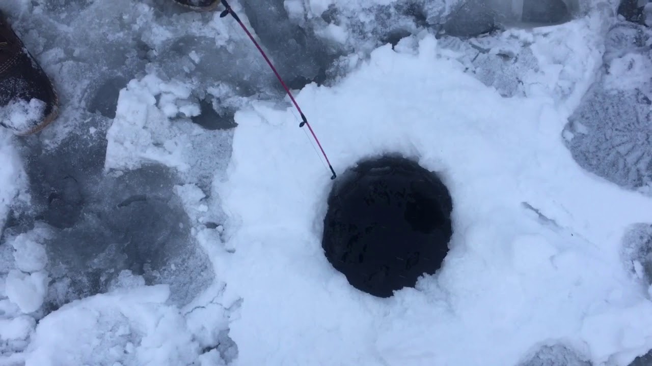 Ice Fishing With Goldfish 