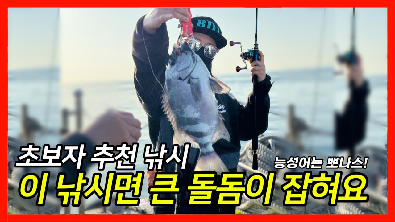 누구나 대성공✔ 어초 붙이지 말고! 3초! 가만히 기다려요🥇 낚시대가 덜덜덜덜덜 손맛최고 돌돔!