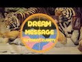 The Casino Dream - YouTube