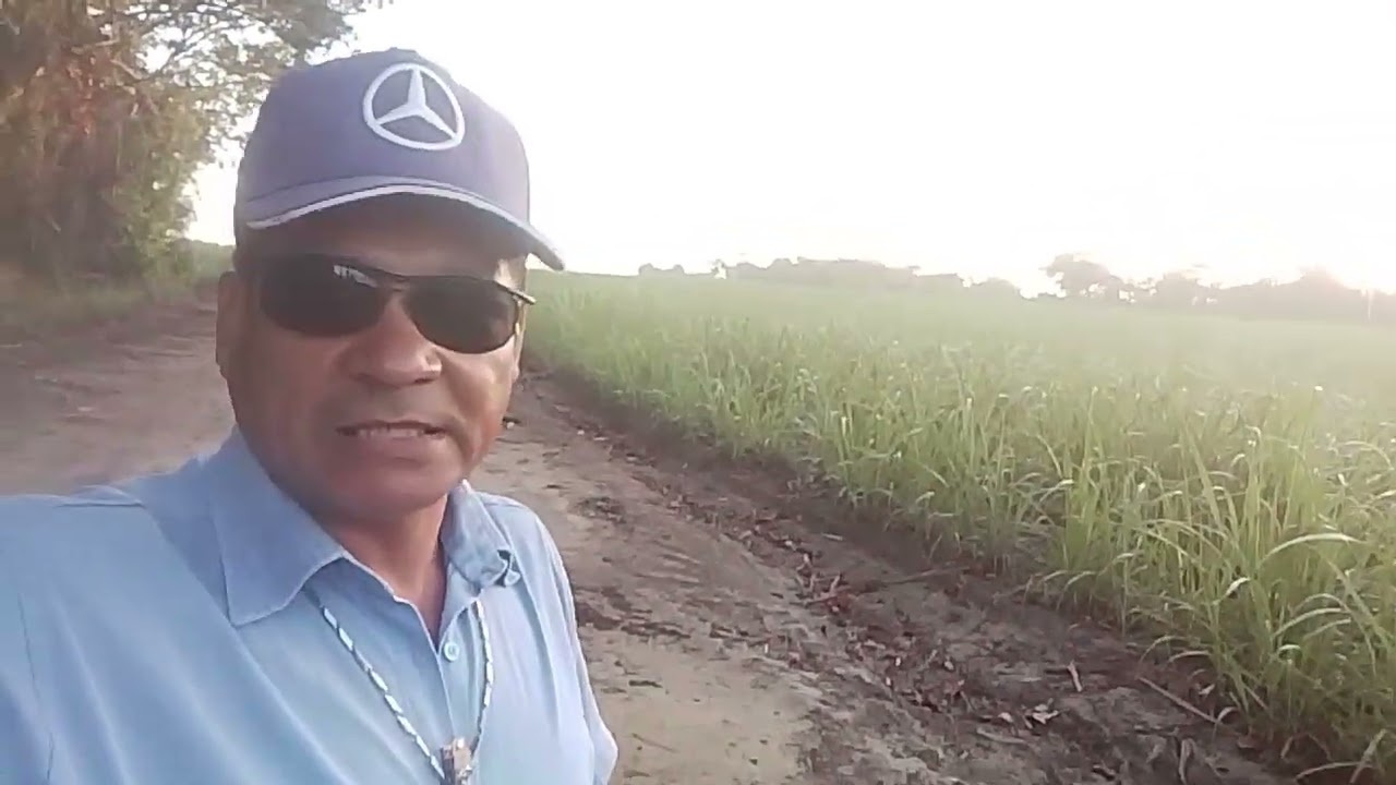 CANAL CICERO PRANCHETA TERCEIRO TABULEIRO CANOA RIO LARGO AL 10 03 26 👏