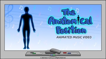 The Anatomical Position | Body Planes & Directional Terms | Animated Music Video |