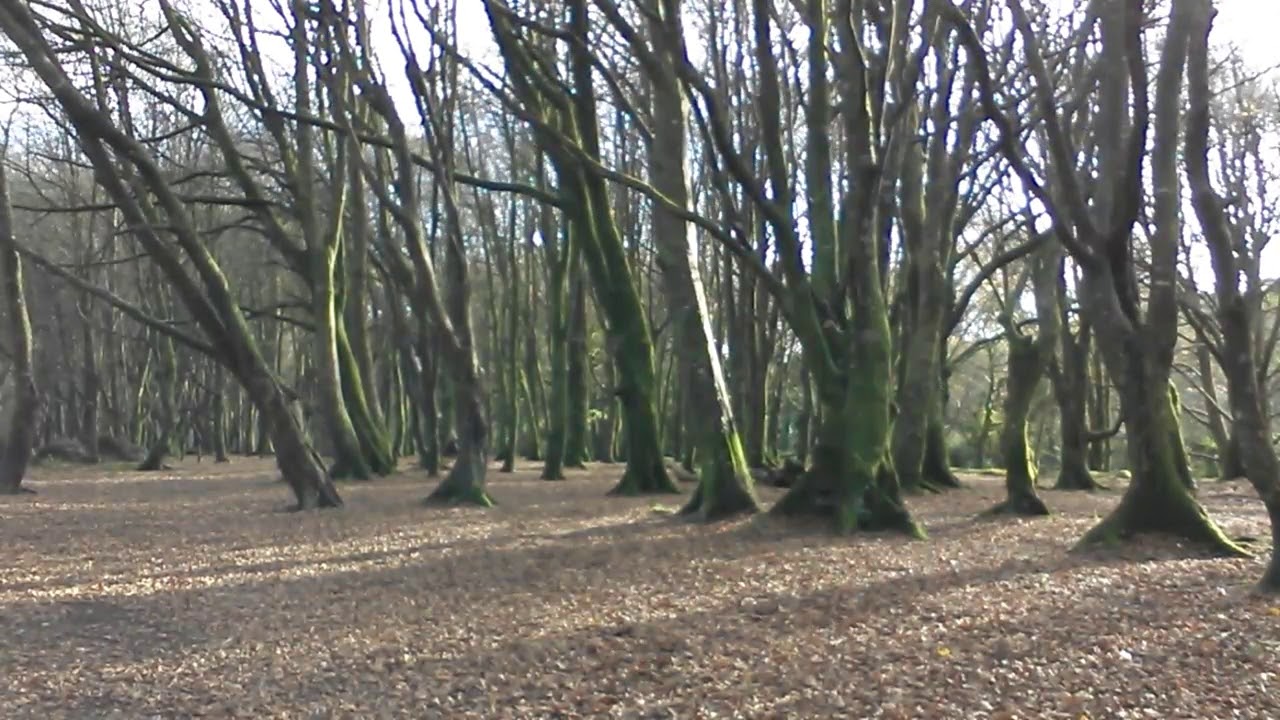 camera iphone 8 plus apk Return of the Celt.