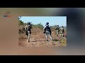 Explosión de artefacto de fabricación casera deja militares heridos en zona serrana de Cotija