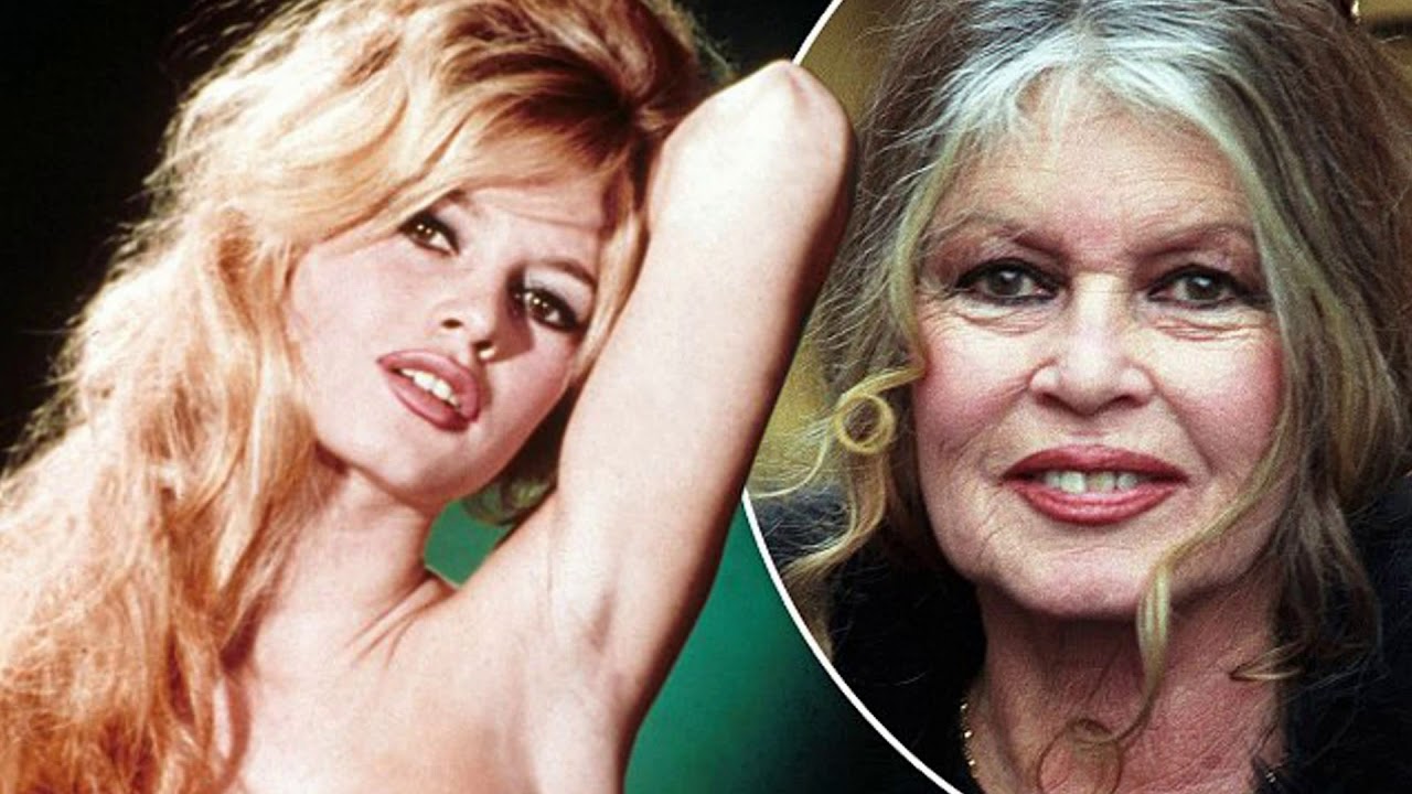 Brigitte bardot recent photos