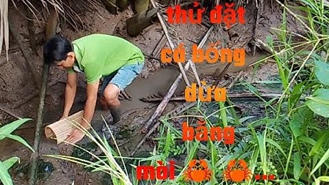 Hôm nay thử đặt lợp cá bống dừa...=⁠_⁠=Giang ken Tv